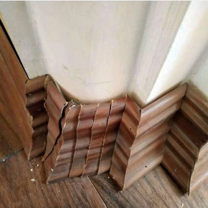 Qué narices es esto