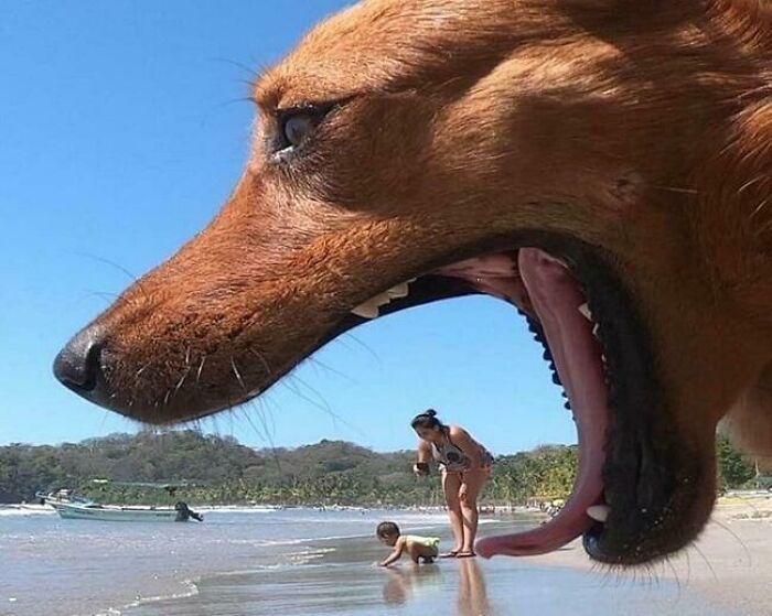 Rocky, el colosal