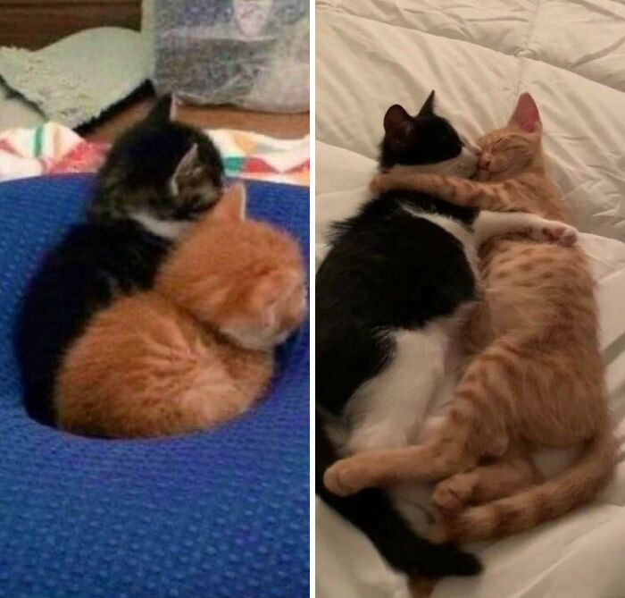 Cómo empezó VS cómo va