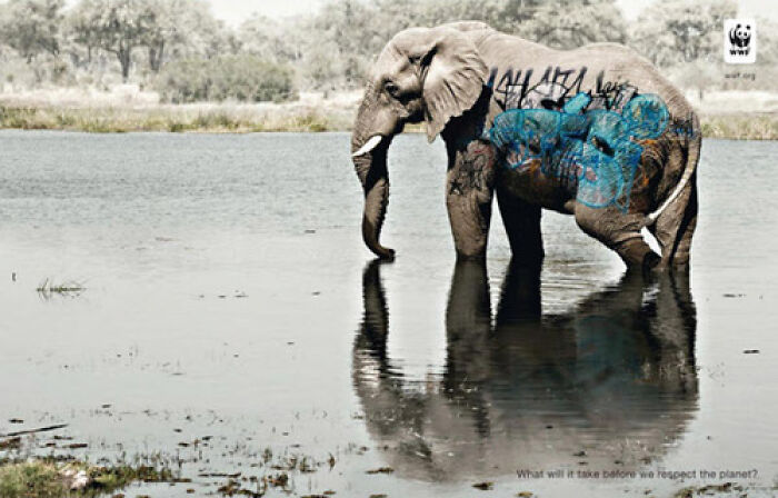 WWF: 