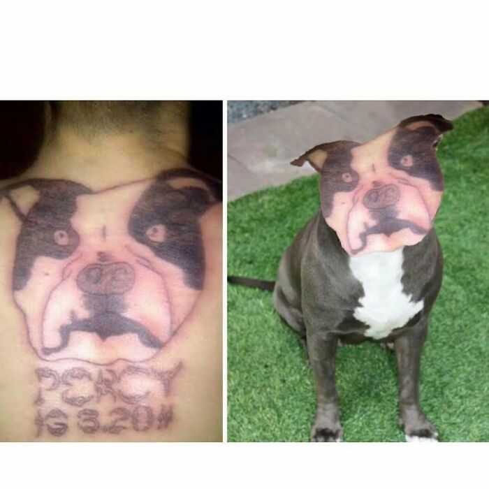 This IG Page Showcases The Epic Failures That Became A Lesson In Ink (35 Pics)
