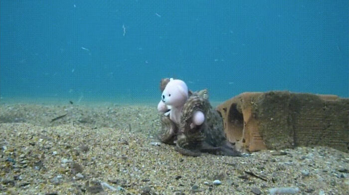 Pulpo con osito de peluche