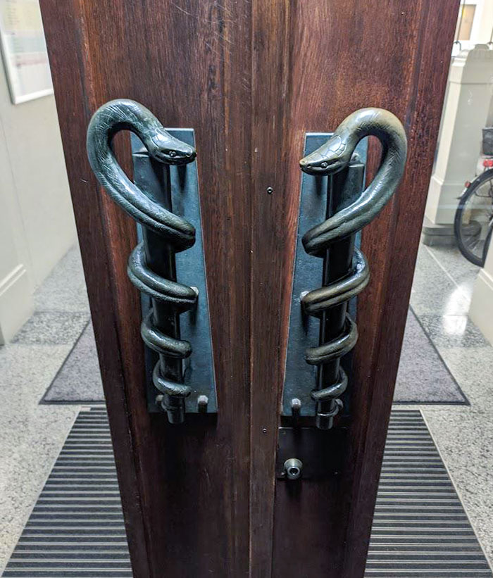 Las puertas de serpiente de este instituto anatómico