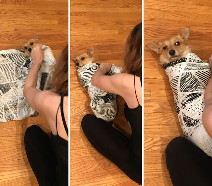 Mi esposa practicando envolviendo al perro