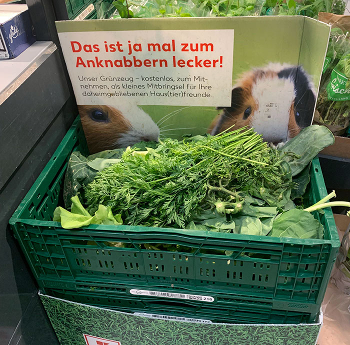 Verduras gratis para mascotas