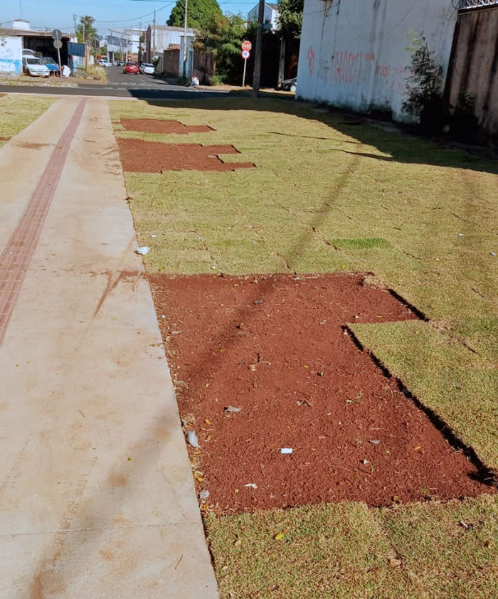 Están construyendo una plaza en el vecindario y la gente va a robar el césped