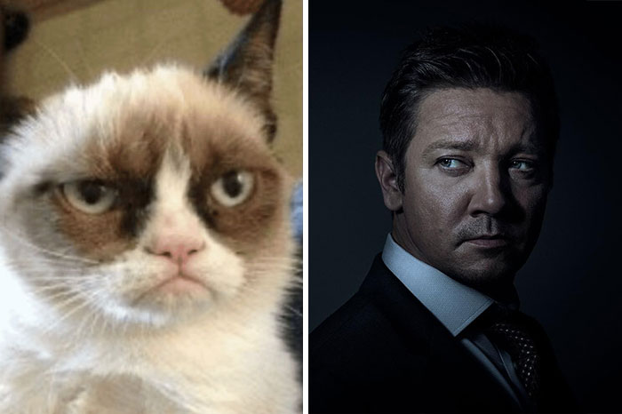 “I’m Going To Hell For This”: 30 Hilariously Unexpected Celebrity Lookalikes Shared On This Thread