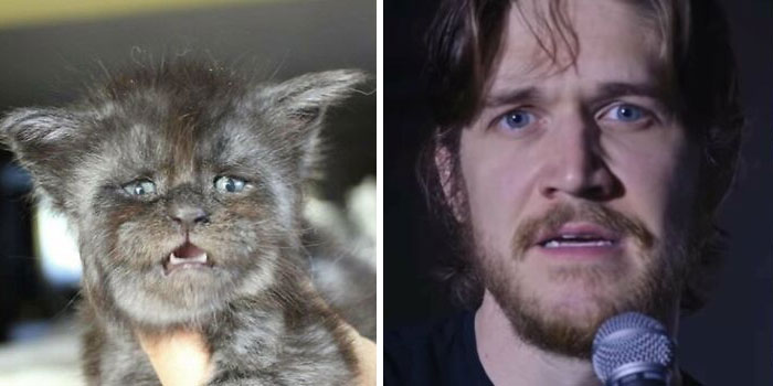 “I’m Going To Hell For This”: 30 Hilariously Unexpected Celebrity Lookalikes Shared On This Thread