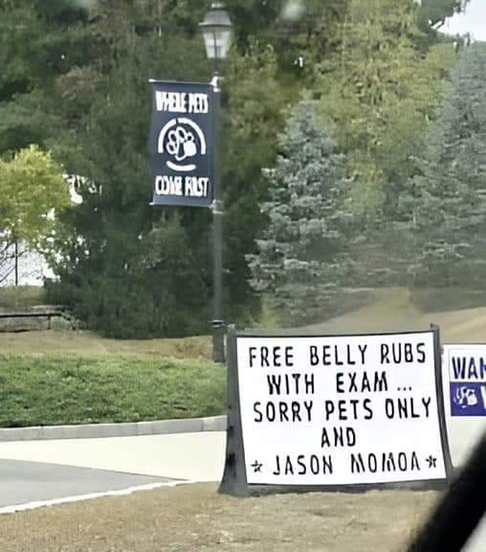 Rascado gratis de barriga con cada examen... Lo sentimos, solo para mascotas y Jason Momoa