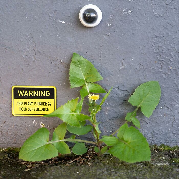 Artist Places Funny Signs In His City And They Look Like Art Installations (28 New Pics)