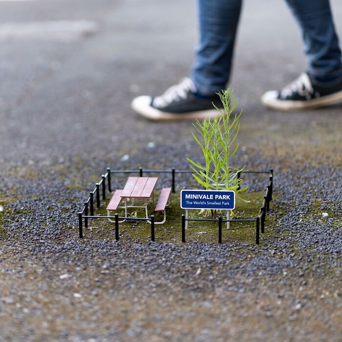 Artist Places Funny Signs In His City And They Look Like Art Installations (28 New Pics)