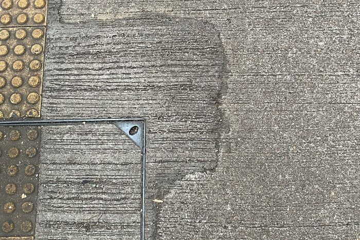 30 Perfectly Timed Shots By Edas Wong (New Pics)