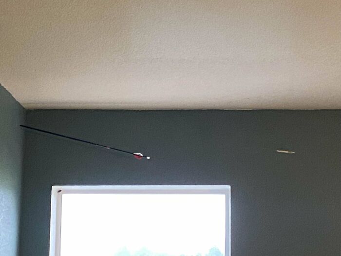 Mi vecino ha lanzado una flecha a mi casa