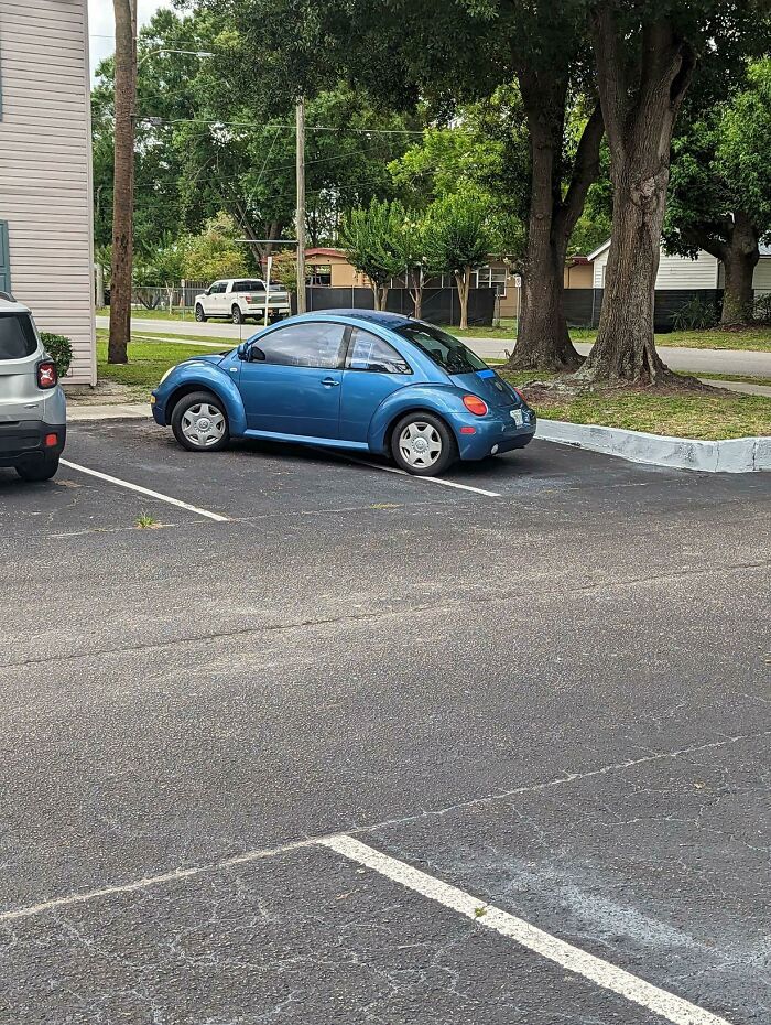 Mi vecino aparca así para reservar sitio para él y el coche de su esposa en la sombra del árbol. Lleva meses haciéndolo