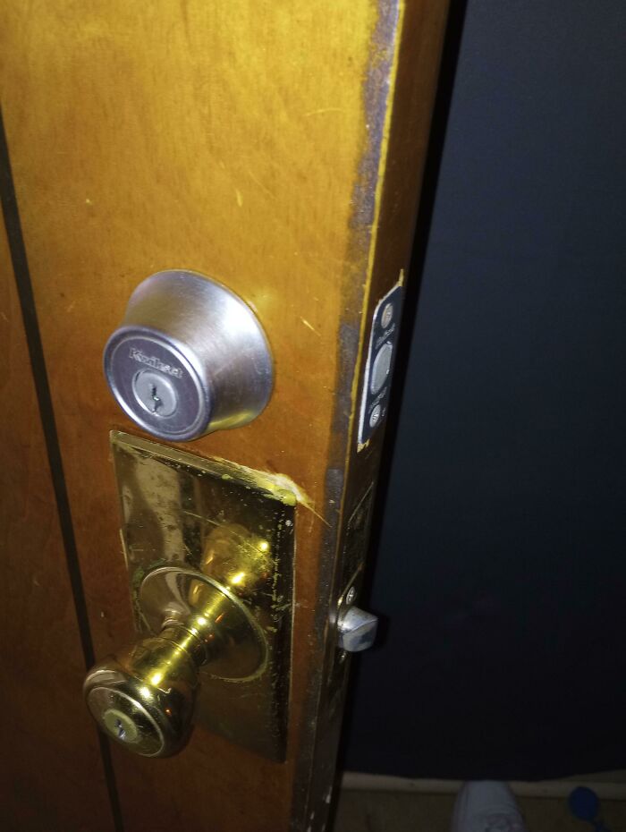 Una vecina intentó aserrar mi puerta hoy porque llevaba 3 días sin ver a mi gato en la ventana