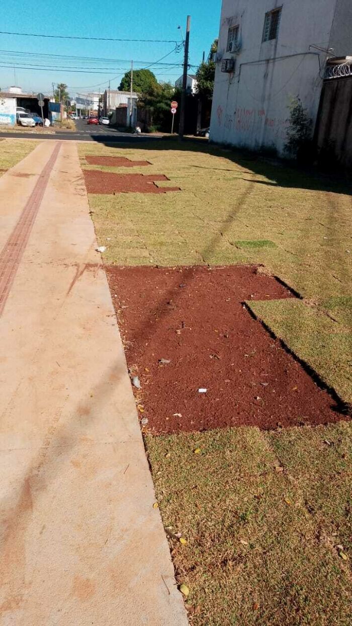 La gente robando trozos de cesped de la plaza que están construyendo en el vecindario