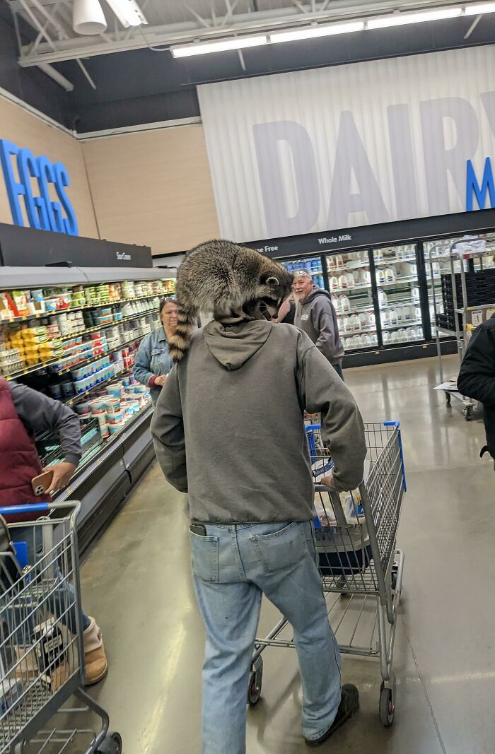 Lo llamamos el hombre mapache, viene a veces