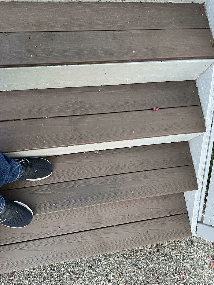 Saliendo de casa a las 6 de la mañana vi estas marcas en el rocío de los escalones de entrada