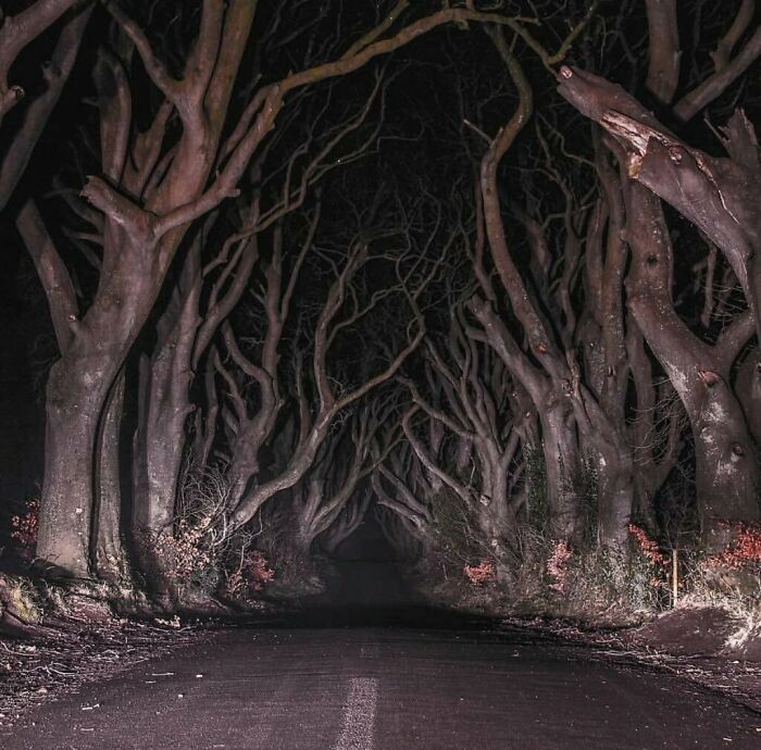 Dark Hedges en Irlanda
