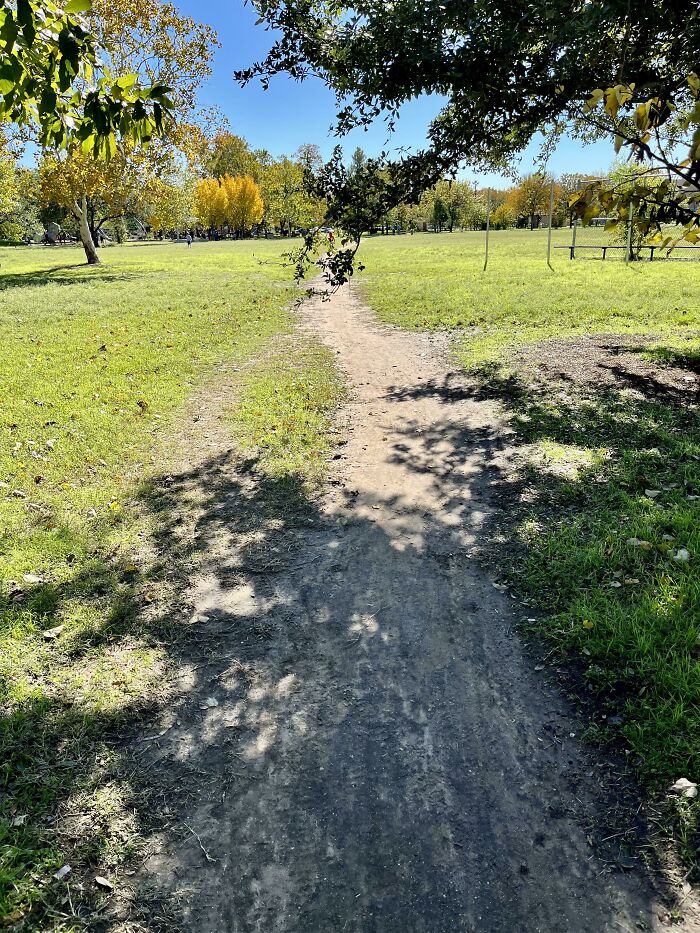 Caminito junto a otro camino del deseo para evitar esa rama que cuelga demasiado