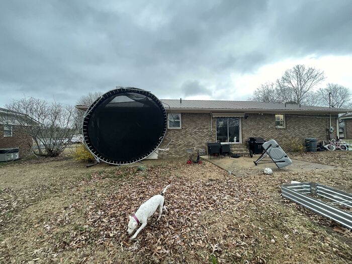 Tuvimos fuertes vientos anoche. No tenemos un trampolín