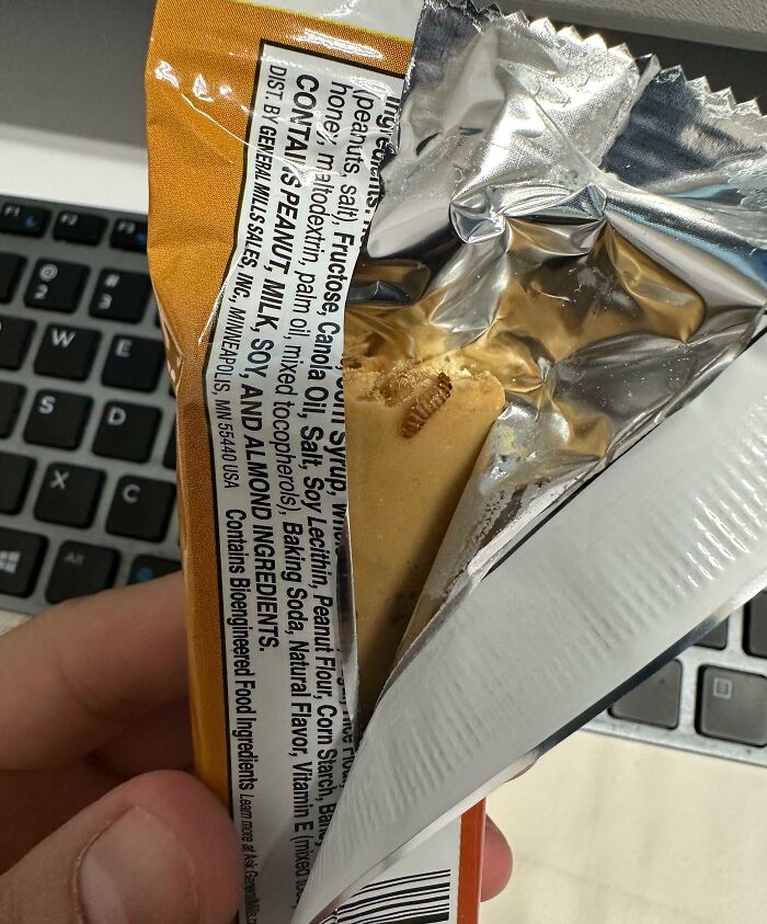 Nos han traido una caja llena de tentempiés al trabajo. Abrí una y estaba infestada de estas cosas