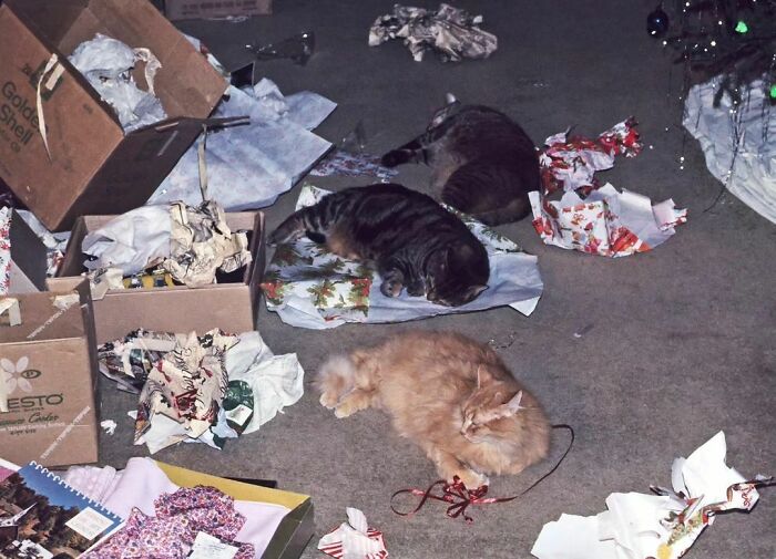 Navidad, 1974