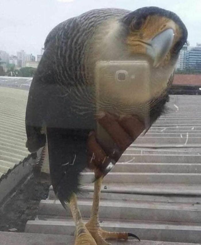 30 Random Images That Are Too Hard To Ignore, As Shared On This Instagram Page