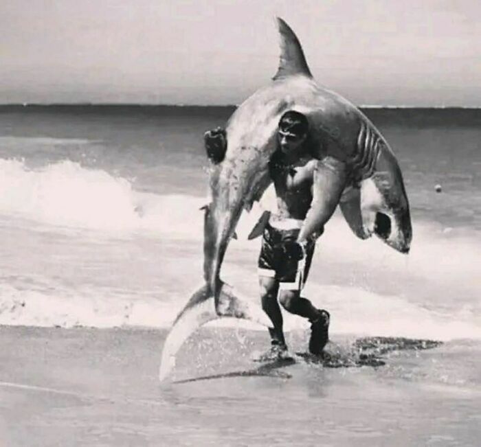 30 Random Images That Are Too Hard To Ignore, As Shared On This Instagram Page