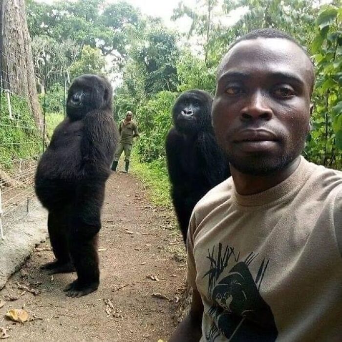 30 Random Images That Are Too Hard To Ignore, As Shared On This Instagram Page