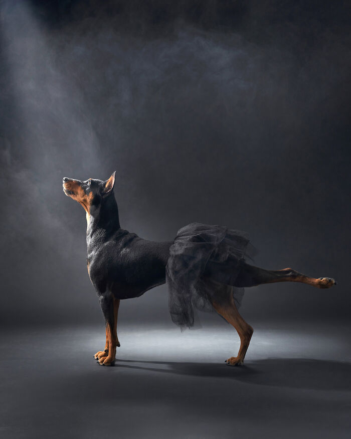Ganador categoría Estudio: "Bailarina" por Anna Averianova
