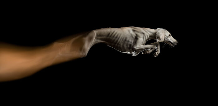 Ganador categoría Acción: "Detén tu movimiento" por Jacqueline Rüdiger