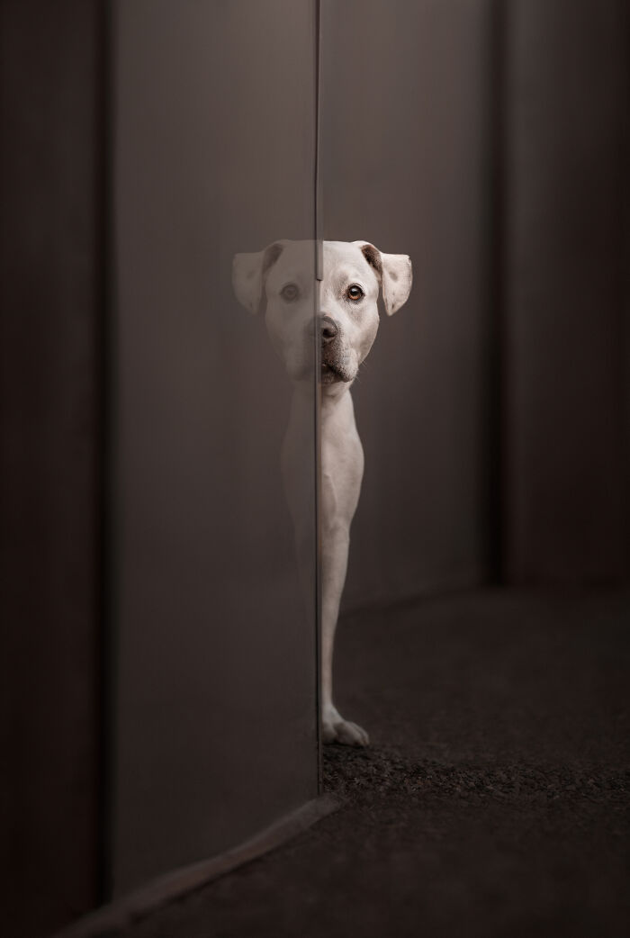 Finalista categoría Retrato y paisaje: "Viendo doble" por Katie Brockman