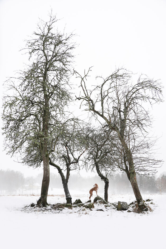 3º puesto categoría Retrato y paisaje: "Ilusión monocromática" por Sanna Sander