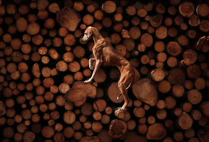 Ganador categoría Retrato y paisaje: "Serenidad ascendente" por Sanna Sander