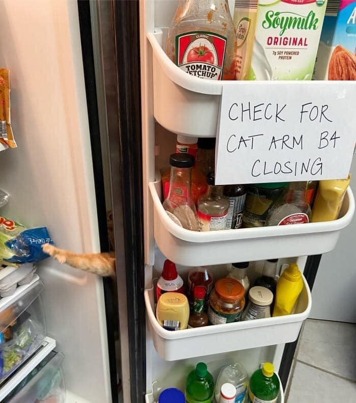 50 Times Signs Were So Funny, People Had To Share Them On This Facebook Group