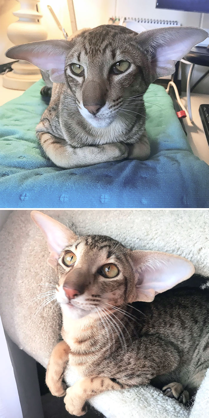 Mi pequeño cumple hoy 9 meses y cada segundo que pasa lo quiero más