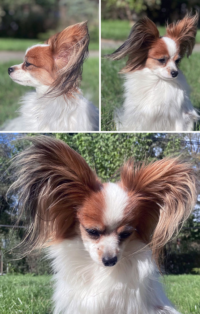 Doris, la modelo