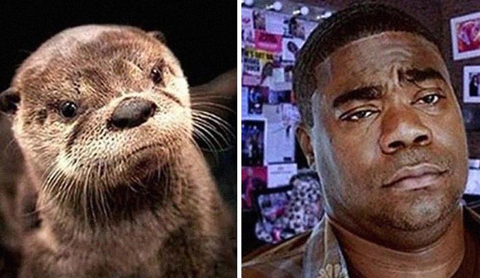 “I’m Going To Hell For This”: 30 Hilariously Unexpected Celebrity Lookalikes Shared On This Thread