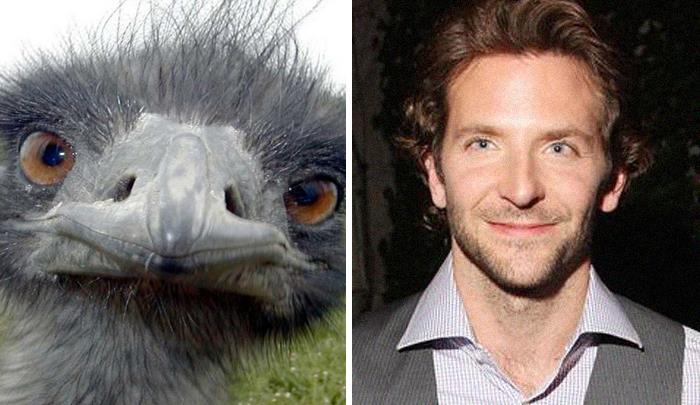 “I’m Going To Hell For This”: 30 Hilariously Unexpected Celebrity Lookalikes Shared On This Thread
