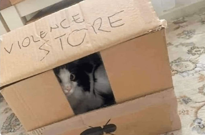 Tienda de violencia