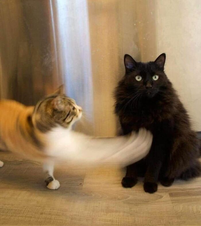 "Photos Taken Before Disaster": 45 Pics That Foreshadow Unfortunate Events