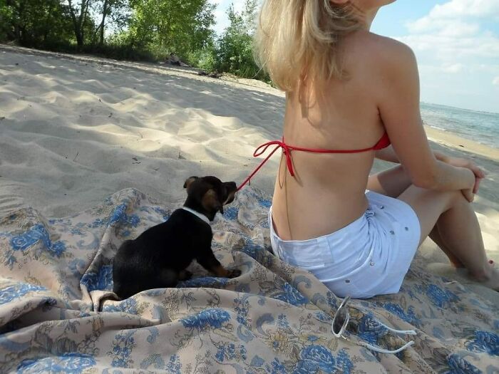 "Photos Taken Before Disaster": 45 Pics That Foreshadow Unfortunate Events
