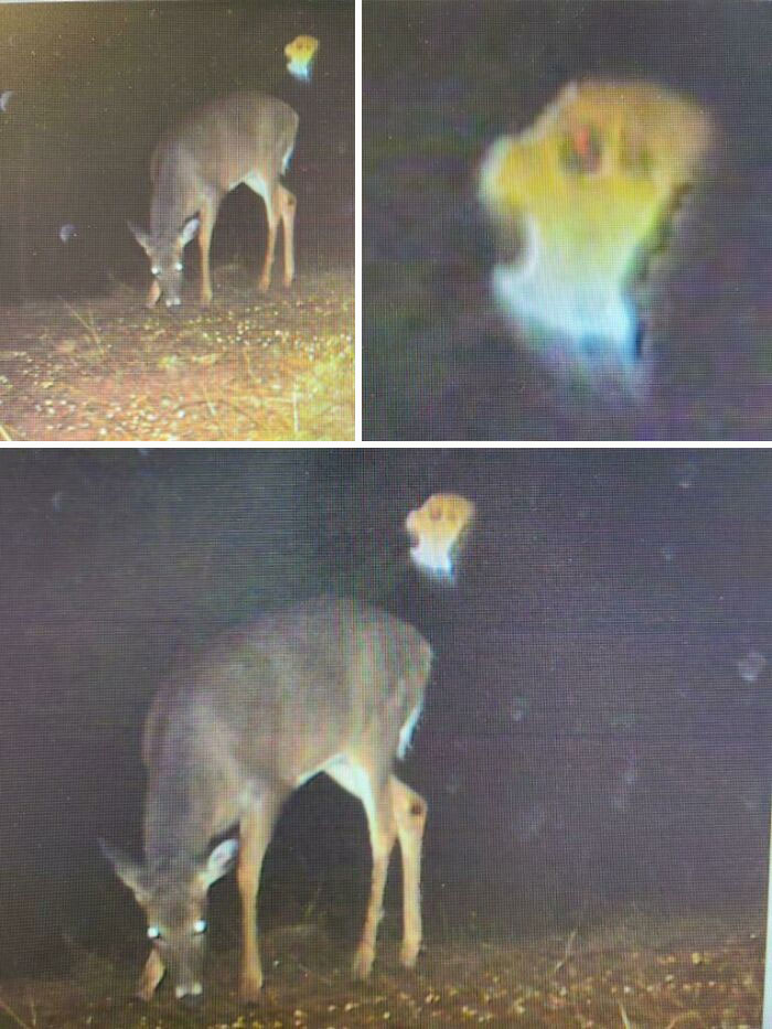 El dueño de las tierras donde se captó esto dice que hubo una muerte trágica allí
