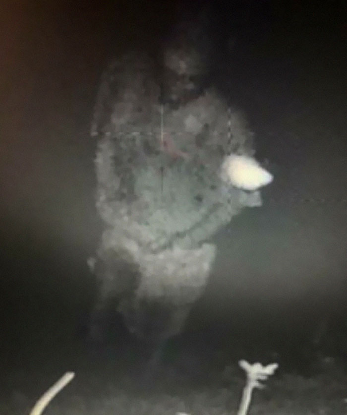 Cámara en la casa abandonada de mis abuelos. Hace 3 fotos cada vez que detecta movimiento. Esto solo aparece en 1 de las 3. No sé qué es