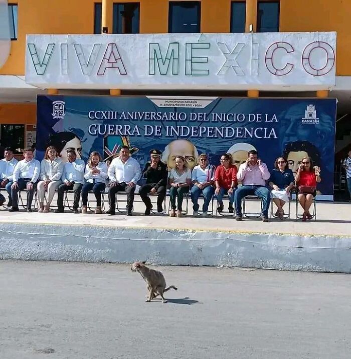 50 Weird Images That Need No Context Whatsoever To Be Hilarious, As Seen On This FB Page