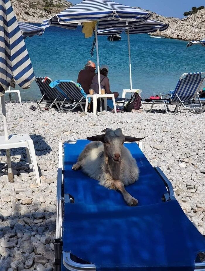 50 Weird Images That Need No Context Whatsoever To Be Hilarious, As Seen On This FB Page