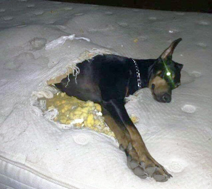 Cuando no te dan una manta para dormir