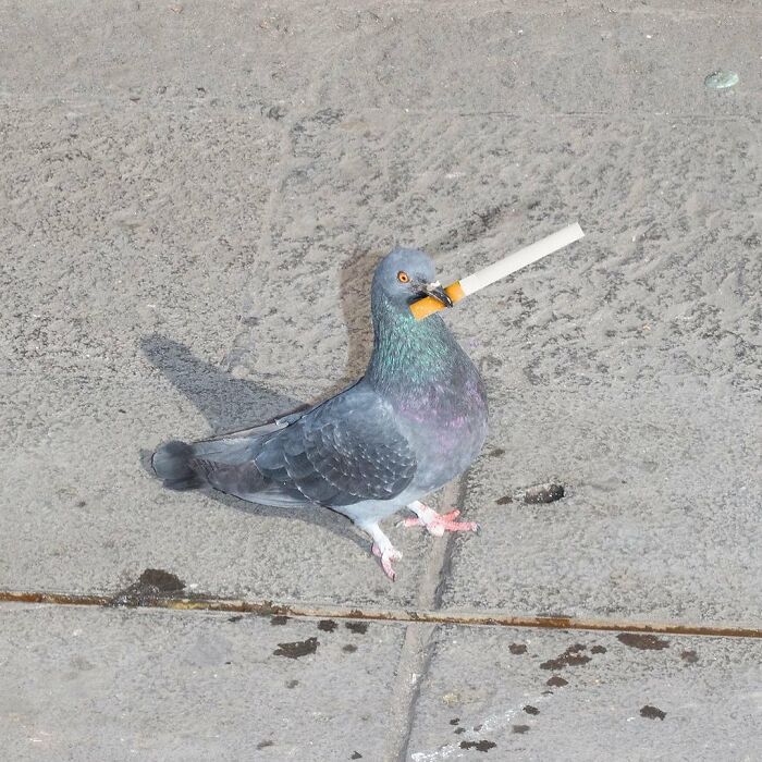 Here Are 50 Of The Most Interesting Images Selected By This Instagram Page