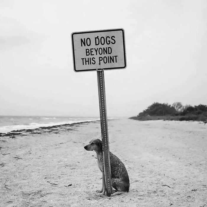 Here Are 50 Of The Most Interesting Images Selected By This Instagram Page